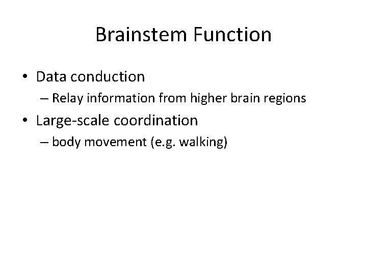 Brainstem Function • Data conduction – Relay information from higher brain regions • Large-scale