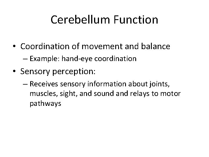 Cerebellum Function • Coordination of movement and balance – Example: hand-eye coordination • Sensory