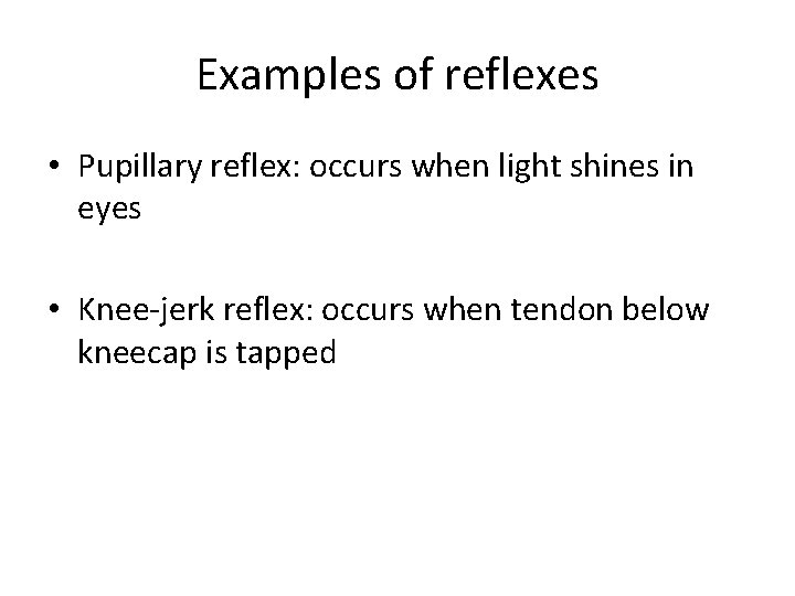 Examples of reflexes • Pupillary reflex: occurs when light shines in eyes • Knee-jerk