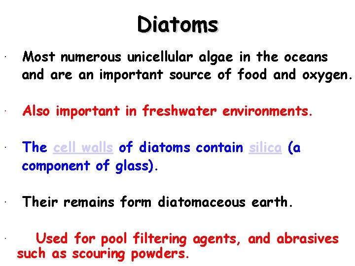 Diatoms · Most numerous unicellular algae in the oceans and are an important source