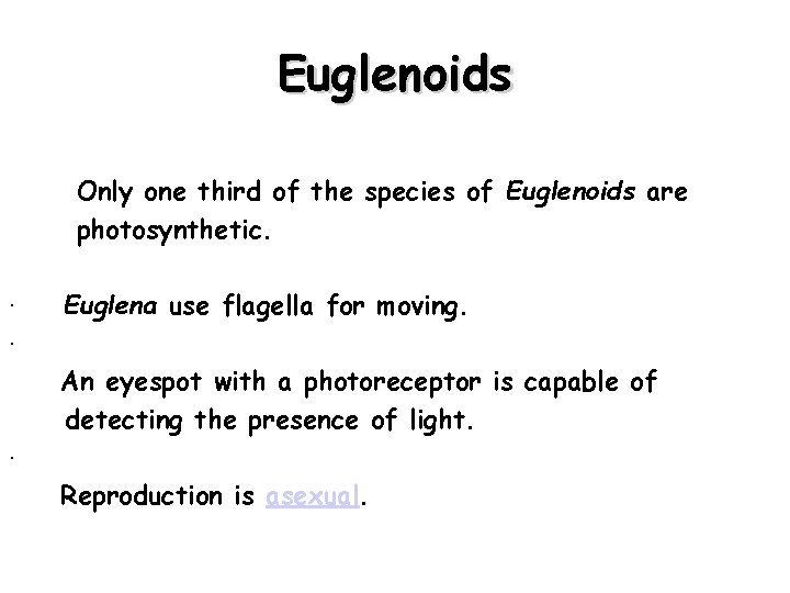 Euglenoids Only one third of the species of Euglenoids are photosynthetic. · Euglena use