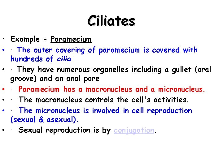 Ciliates • Example - Paramecium • · The outer covering of paramecium is covered