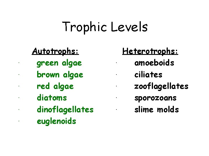 Trophic Levels Autotrophs: · green algae · brown algae · red algae · diatoms