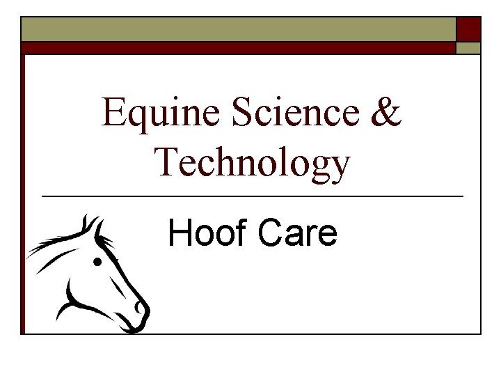 Equine Science & Technology Hoof Care 