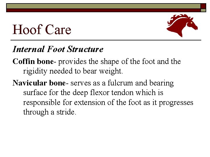 Hoof Care Internal Foot Structure Coffin bone- provides the shape of the foot and