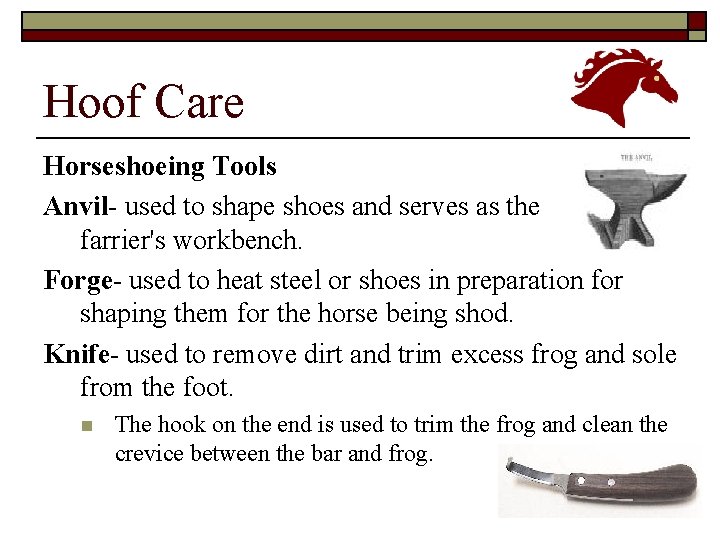 Hoof Care Horseshoeing Tools Anvil- used to shape shoes and serves as the farrier's