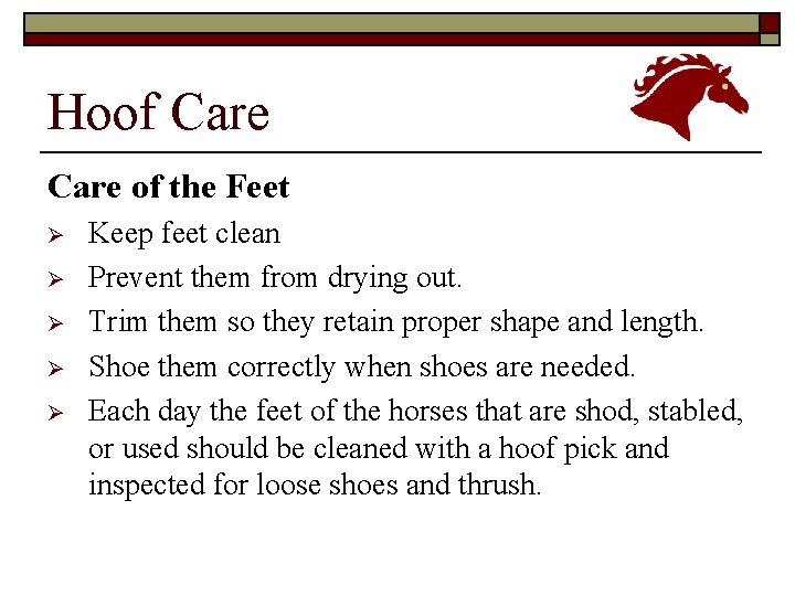 Hoof Care of the Feet Ø Ø Ø Keep feet clean Prevent them from