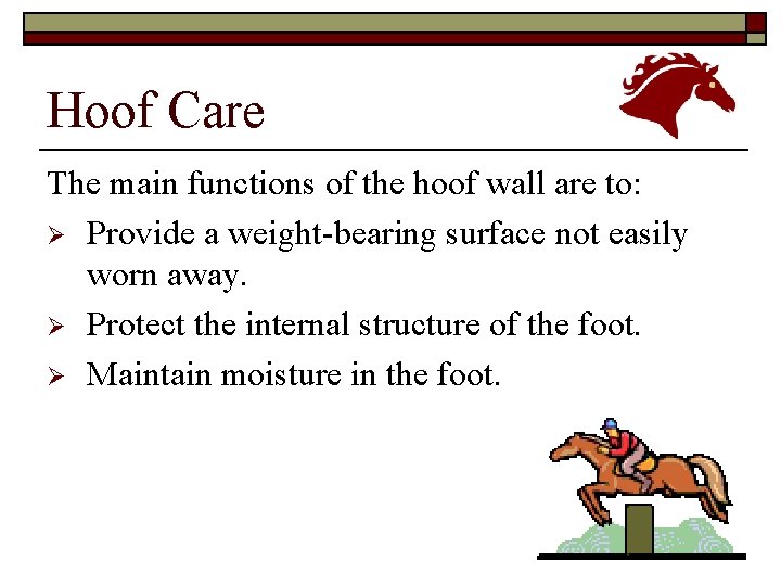 Hoof Care The main functions of the hoof wall are to: Ø Provide a