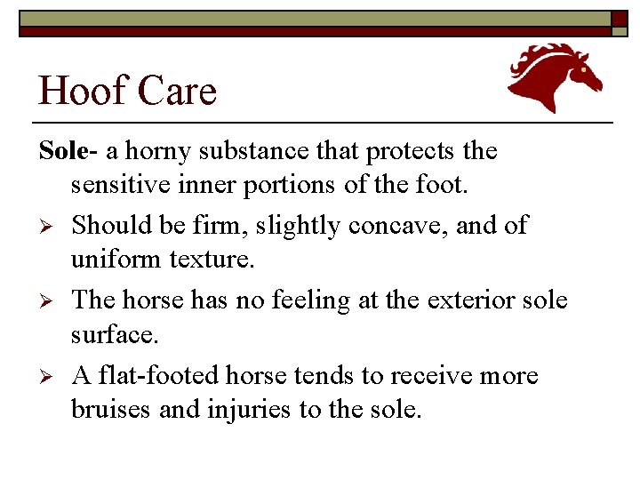 Hoof Care Sole- a horny substance that protects the sensitive inner portions of the