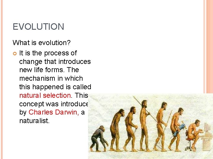 EVOLUTION What is evolution? It is the process of change that introduces new life