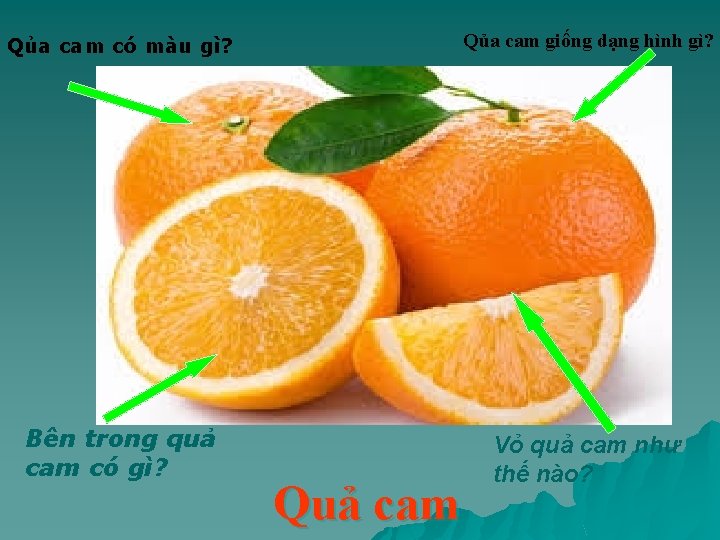 Qủa cam có màu gì? Qủa cam giống dạng hình gì? Bên trong quả