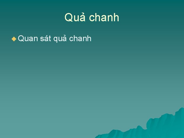 Quả chanh u Quan sát quả chanh 