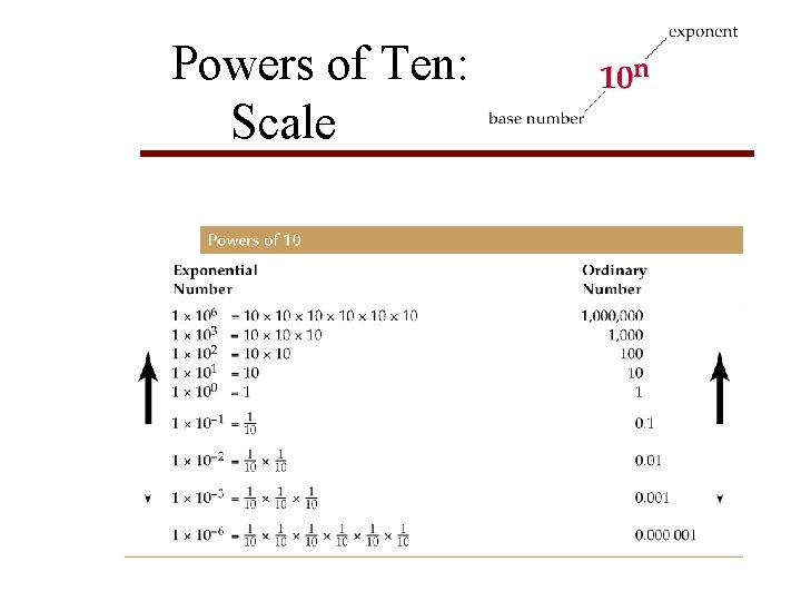 Powers of Ten: Scale 