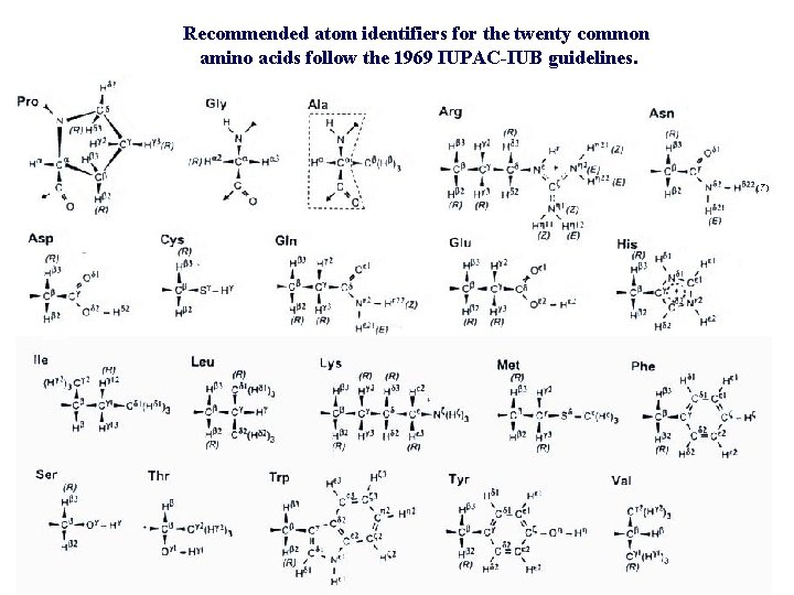 Recommended atom identifiers for the twenty common amino acids follow the 1969 IUPAC-IUB guidelines.