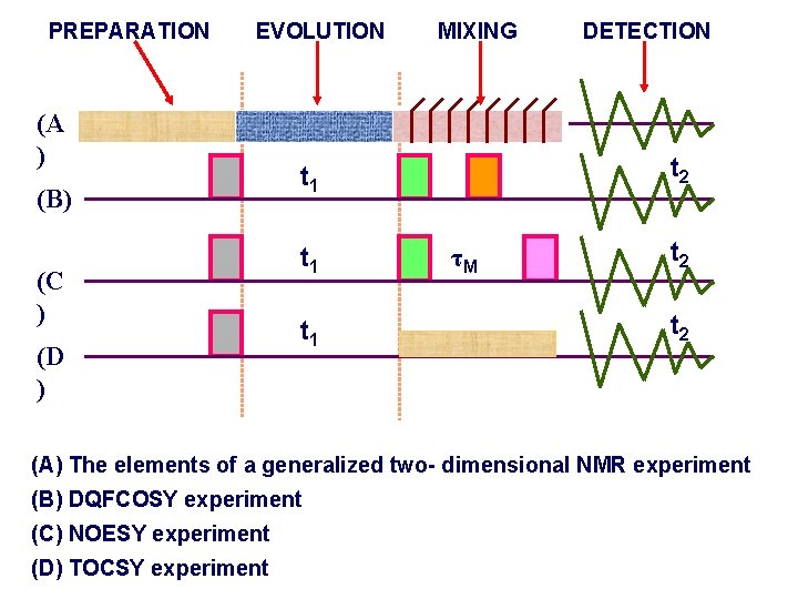 PREPARATION EVOLUTION (A ) (B) (C ) (D ) MIXING t 2 t 1