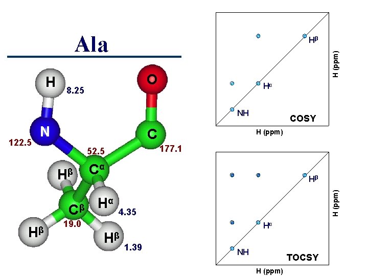 Ala H (ppm) H Hβ O 8. 25 Hα NH C Cβ Hβ 177.