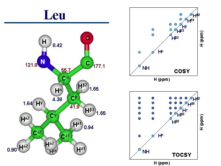 Leu Hδ 2 Hδ 1 Hγ H O H (ppm) Hβ 3 Hβ 2