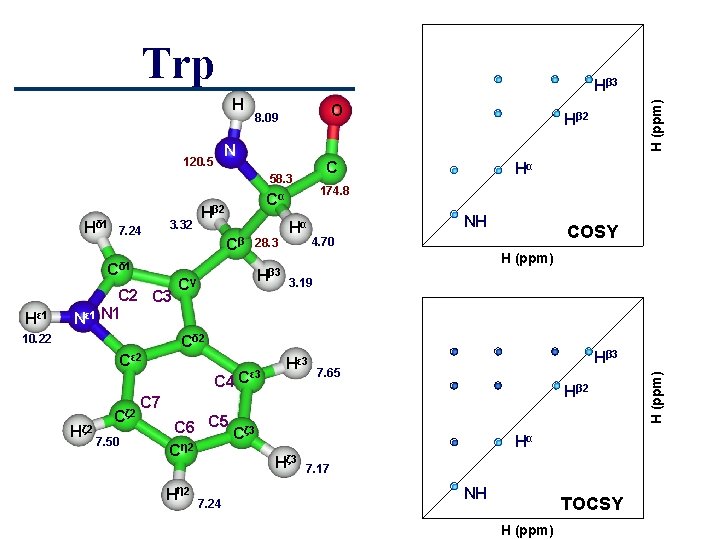 Trp O 8. 09 N 120. 5 C 58. 3 Hδ 1 7. 24