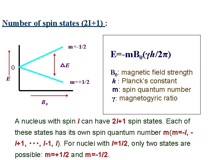 Number of spin states (2 I+1) : m=-1/2 △E 0 E m=+1/2 B 0