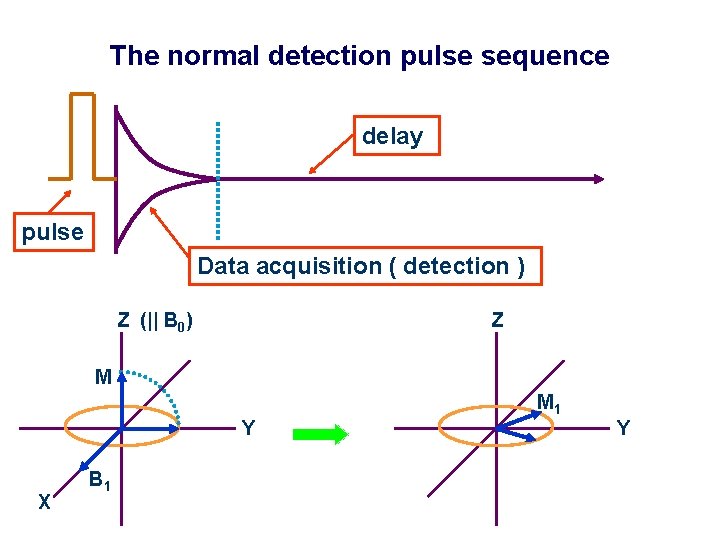 The normal detection pulse sequence delay FID pulse Data acquisition ( detection ) Z
