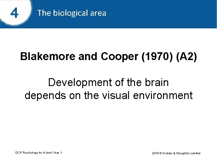 The biological area Blakemore and Cooper (1970) (A 2) Development of the brain depends