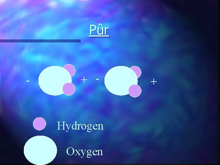 Pû r - + - Hydrogen Oxygen + 