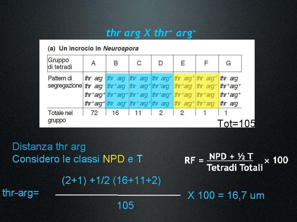 thr arg X thr+ arg+ Tot=105 Distanza thr arg Considero le classi NPD e