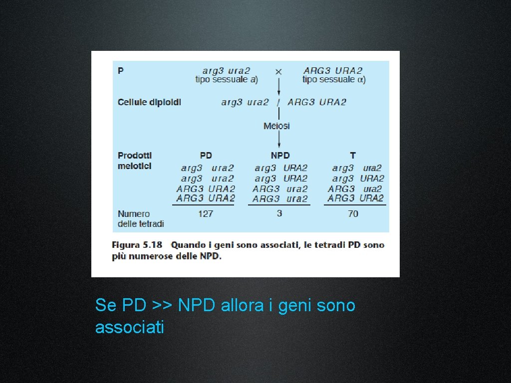 Se PD >> NPD allora i geni sono associati 