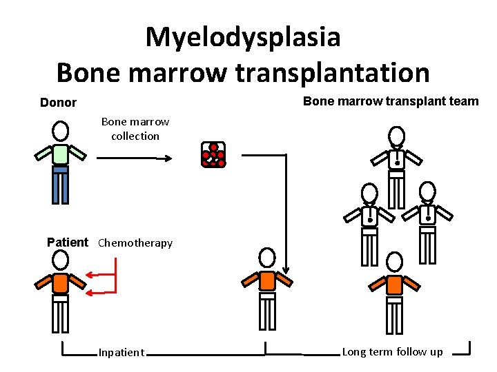 Myelodysplasia Bone marrow transplantation Bone marrow transplant team Donor Bone marrow collection Patient Chemotherapy