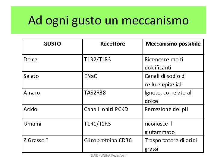 Ad ogni gusto un meccanismo GUSTO Recettore Dolce T 1 R 2/T 1 R