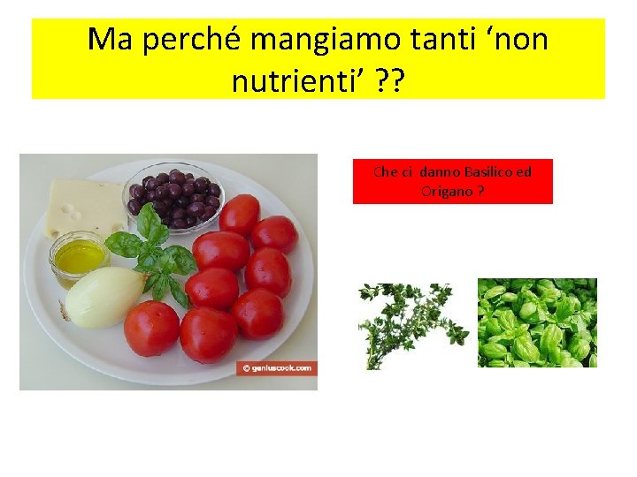 Ma perché mangiamo tanti ‘non nutrienti’ ? ? Che ci danno Basilico ed Origano