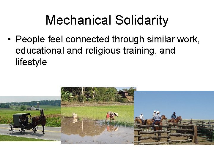 Mechanical Solidarity • People feel connected through similar work, educational and religious training, and