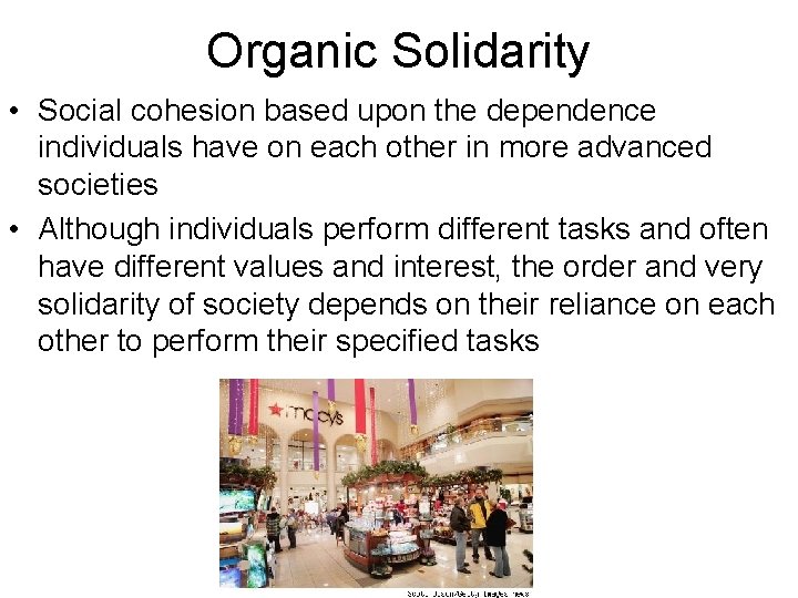 Organic Solidarity • Social cohesion based upon the dependence individuals have on each other