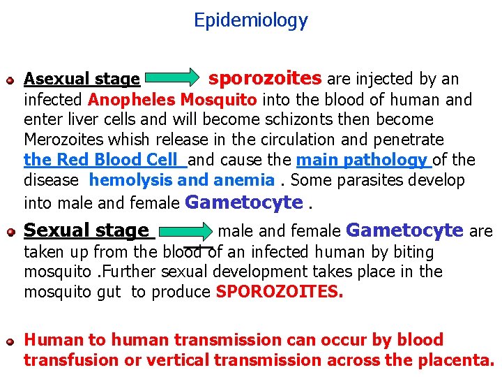 Epidemiology Asexual stage sporozoites are injected by an infected Anopheles Mosquito into the blood Epidemiology Asexual stage sporozoites are injected by an infected Anopheles Mosquito into the blood