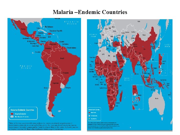Malaria –Endemic Countries Malaria –Endemic Countries