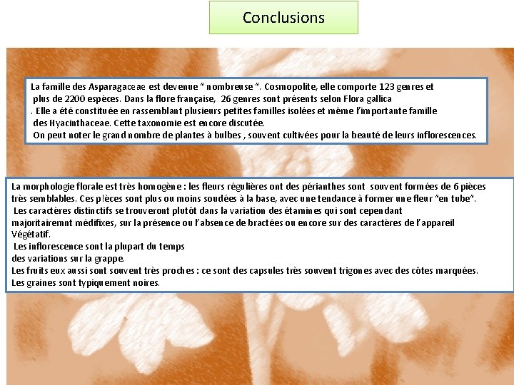 Conclusions La famille des Asparagaceae est devenue “ nombreuse “. Cosmopolite, elle comporte 123
