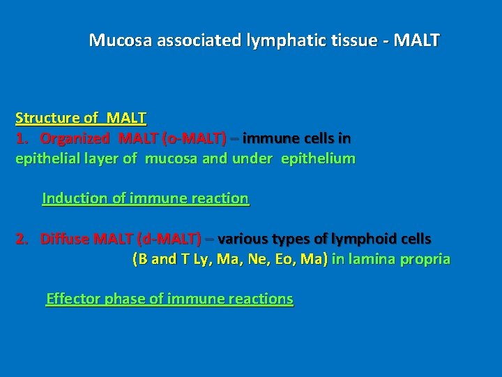 Mucosa associated lymphatic tissue - MALT Structure of MALT 1. Organized MALT (o-MALT) –