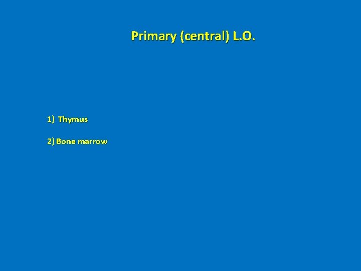 Primary (central) L. O. 1) Thymus 2) Bone marrow 