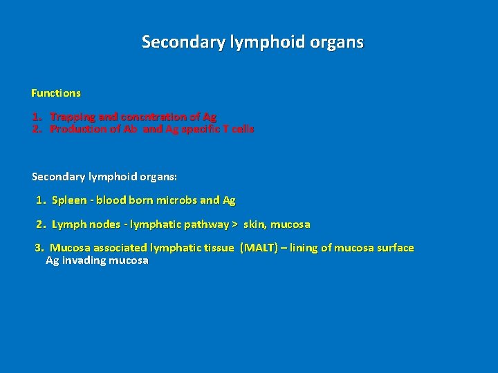  Secondary lymphoid organs Functions 1. Trapping and concntration of Ag 2. Production of