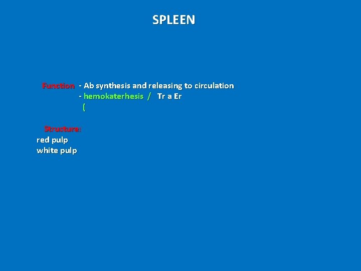 SPLEEN Function - Ab synthesis and releasing to circulation - hemokaterhesis / Tr a