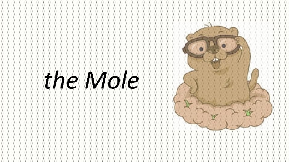 the Mole 