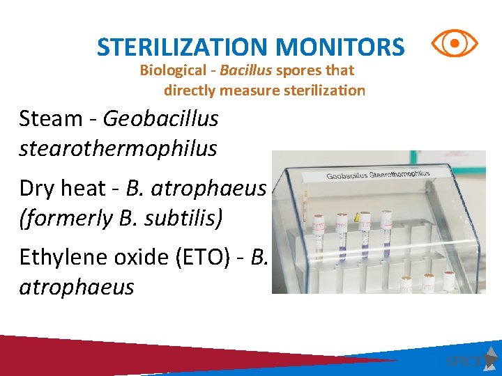 STERILIZATION MONITORS Biological - Bacillus spores that directly measure sterilization • Steam - Geobacillus