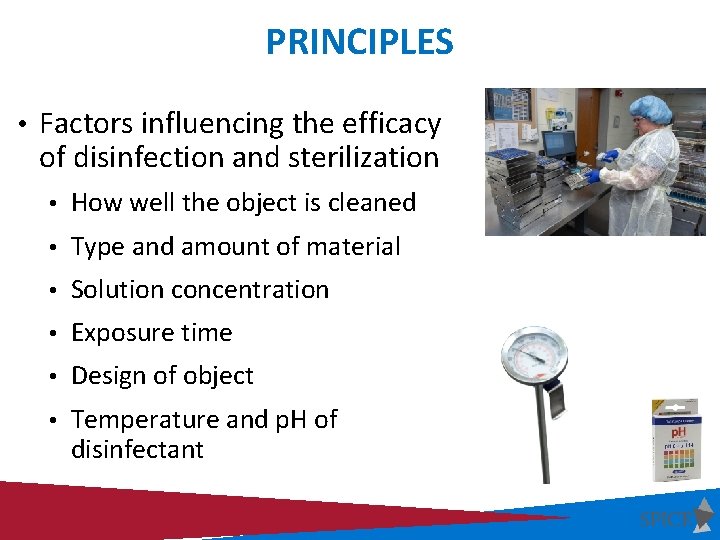 PRINCIPLES • Factors influencing the efficacy of disinfection and sterilization • How well the