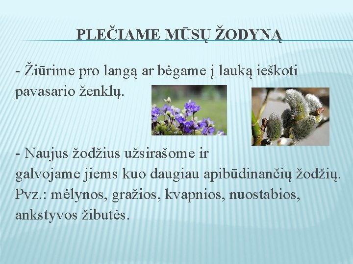 PLEČIAME MŪSŲ ŽODYNĄ - Žiūrime pro langą ar bėgame į lauką ieškoti pavasario ženklų.