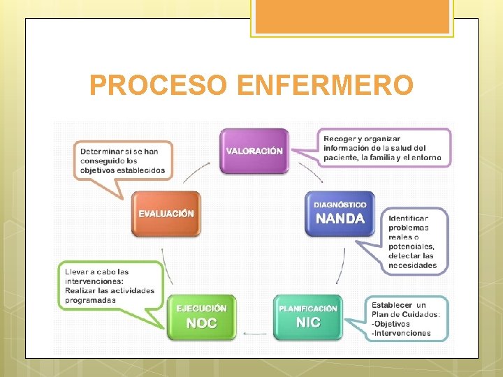 PROCESO ENFERMERO 