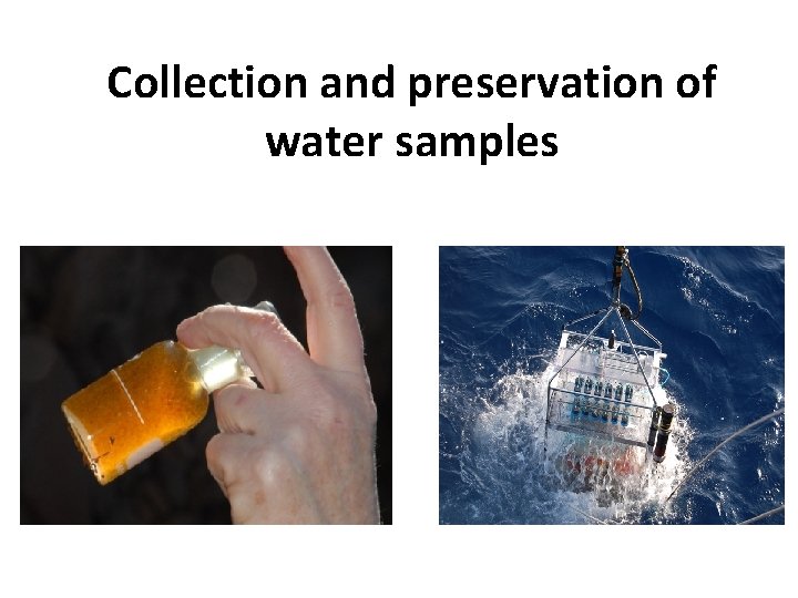 Collection and preservation of water samples 