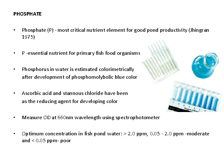 PHOSPHATE • Phosphate (P) - most critical nutrient element for good pond productivity (Jhingran