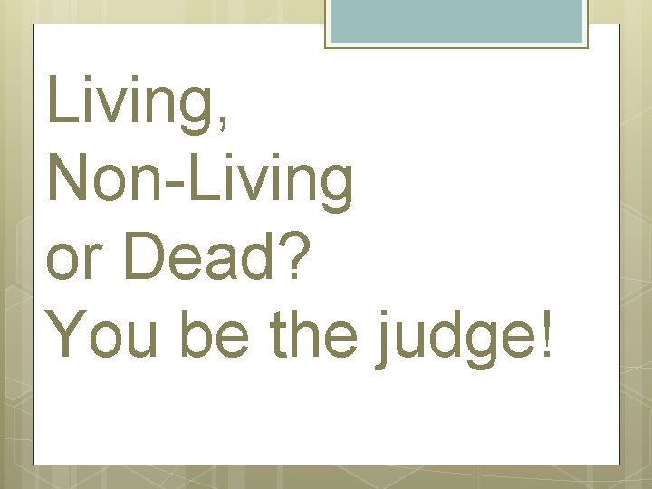 Living, Non-Living or Dead? You be the judge! 