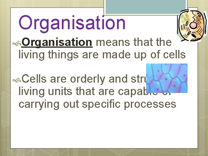 Organisation means that the living things are made up of cells Cells are orderly