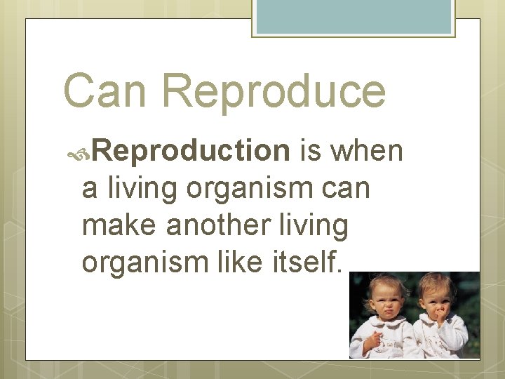 Can Reproduce Reproduction is when a living organism can make another living organism like